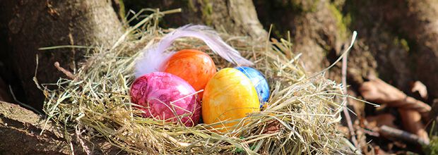 Feiern Sie Ostern mit Ihrer Familie bei uns!